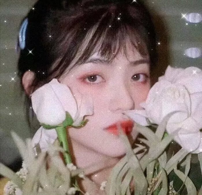 护照