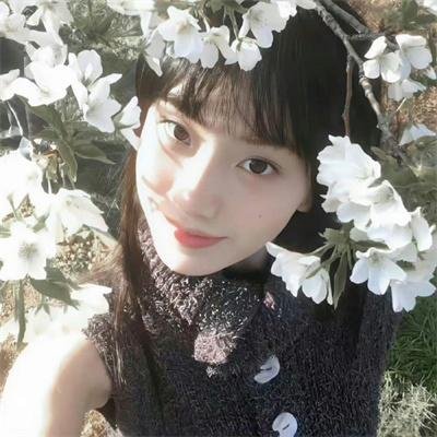嘉宝星尘梦